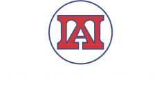 'IAI Jawa Timur'